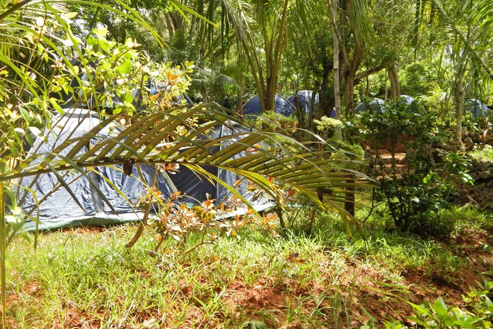 Property Grounds 32 of 35