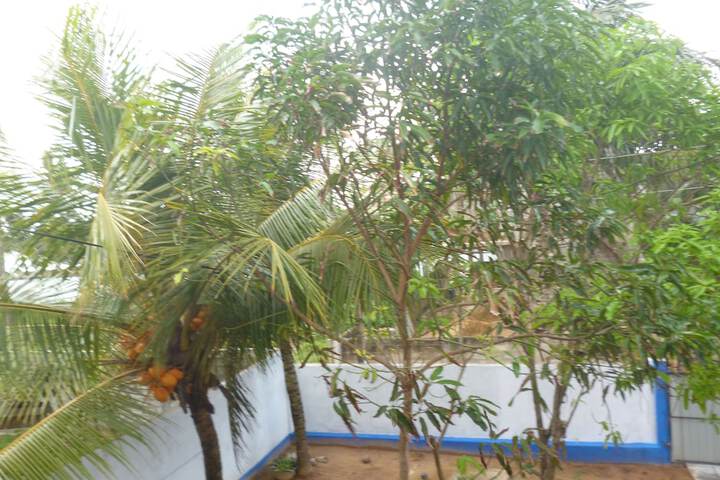 Room 3 of 8