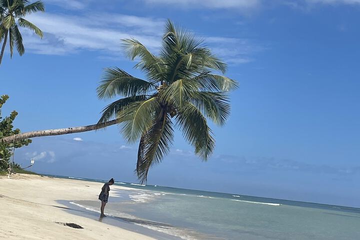 Beach 44 of 57