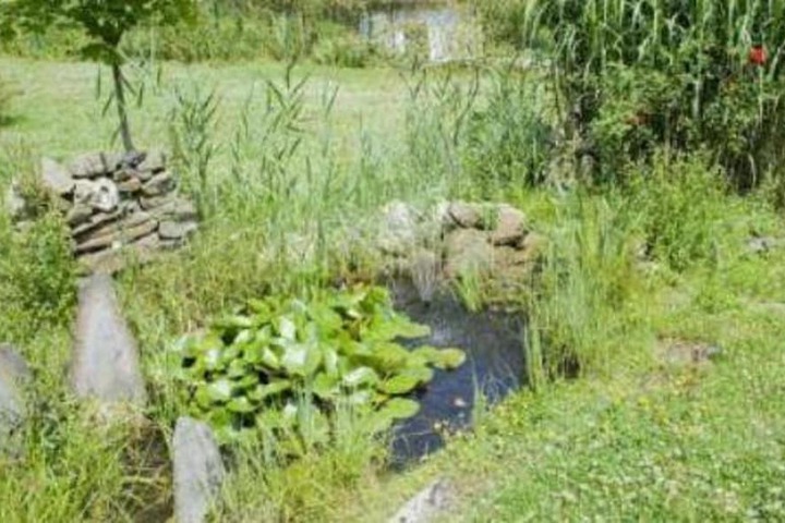 Property Grounds 20 of 26