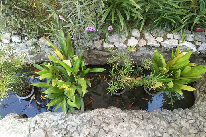 Property Grounds 19 of 21