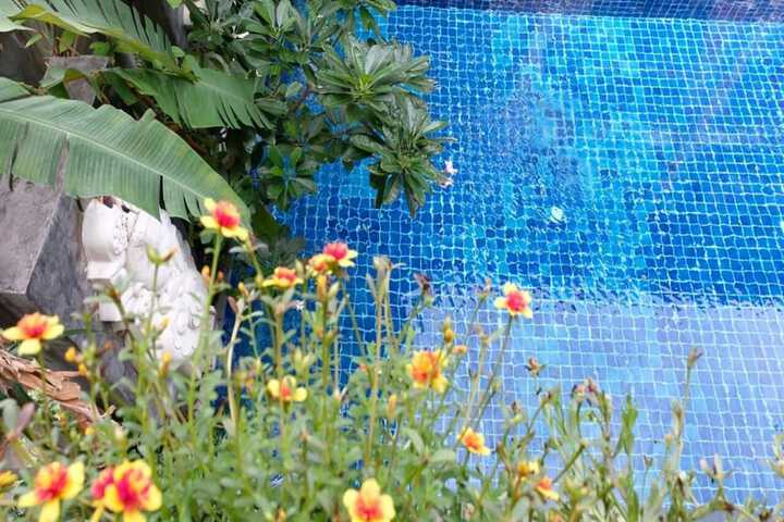 Hotel Pool