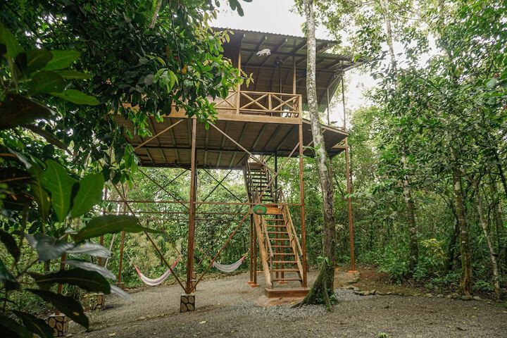 Tree House Hotel