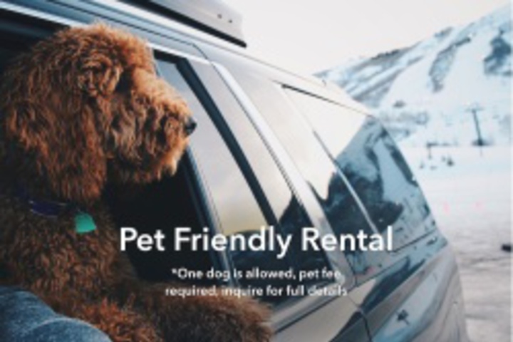 Pet Friendly 19 of 108