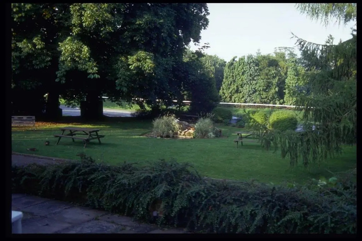 Photo 17
