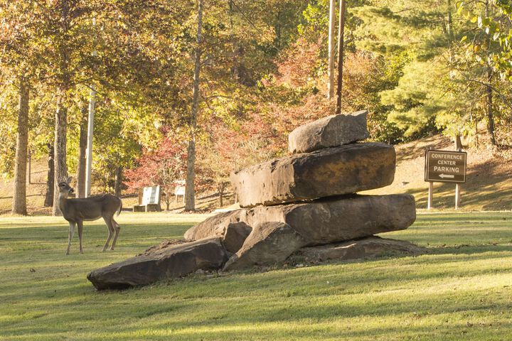 Property Grounds 34 of 42