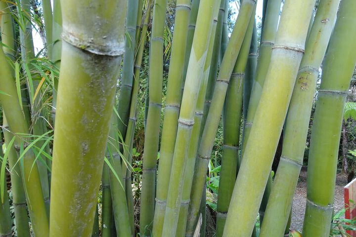 Hotel Exterior 21 of 30