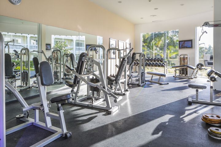 Health and Fitness 93 of 223