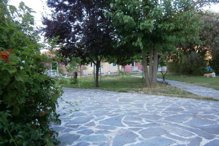 Photo 24