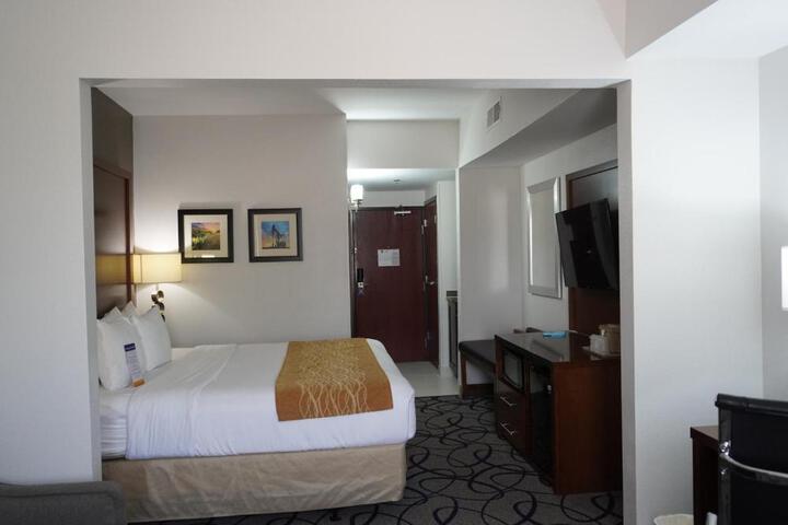 1 King Bed Suite (9 of 13)