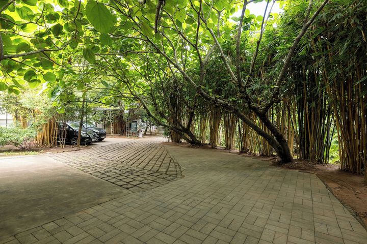 Property Grounds 53 of 58