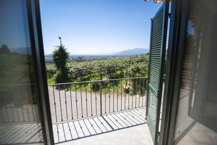 Terrace/Patio 38 of 77