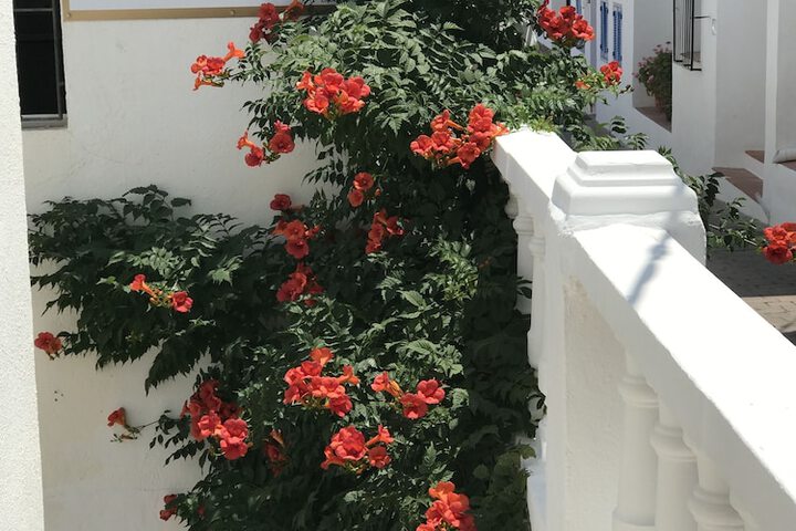Hotel Mamabels in Mojacar