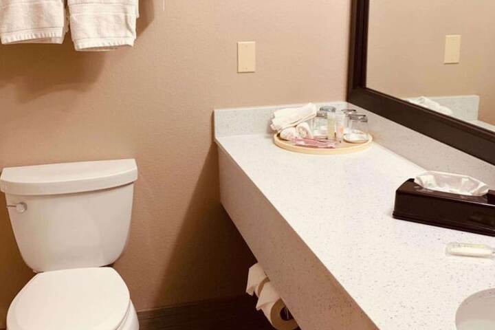 1 King Bed Suite (5 of 5)