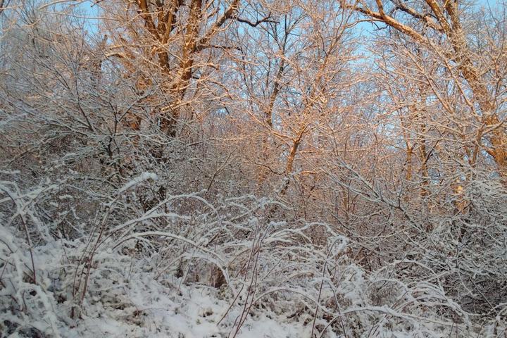 Property Grounds 36 of 52