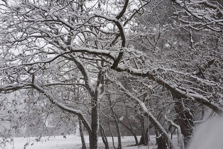 Property Grounds 15 of 20