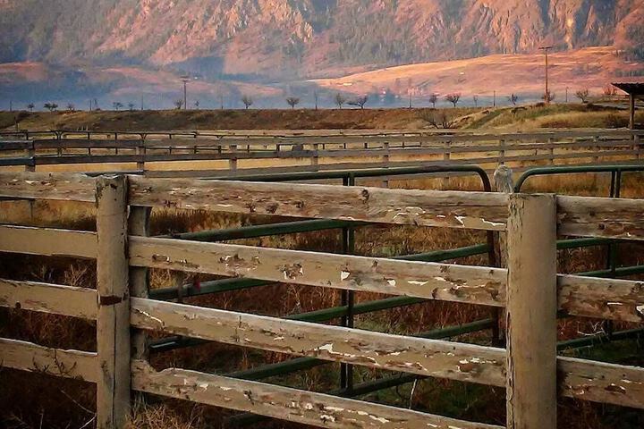 Property Grounds 63 of 87