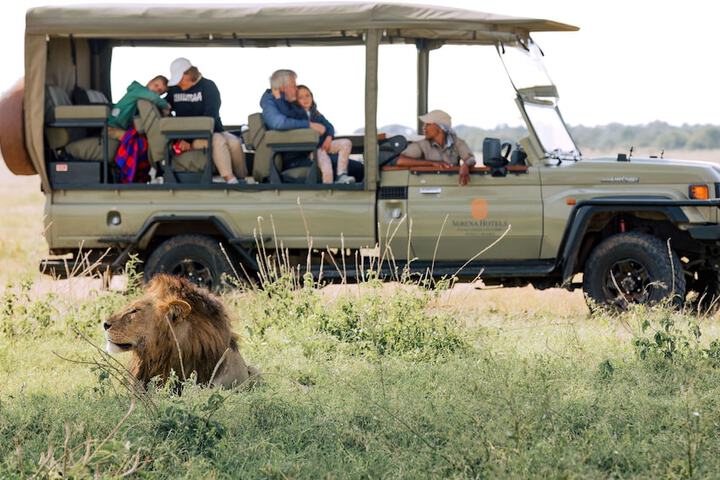 Safari