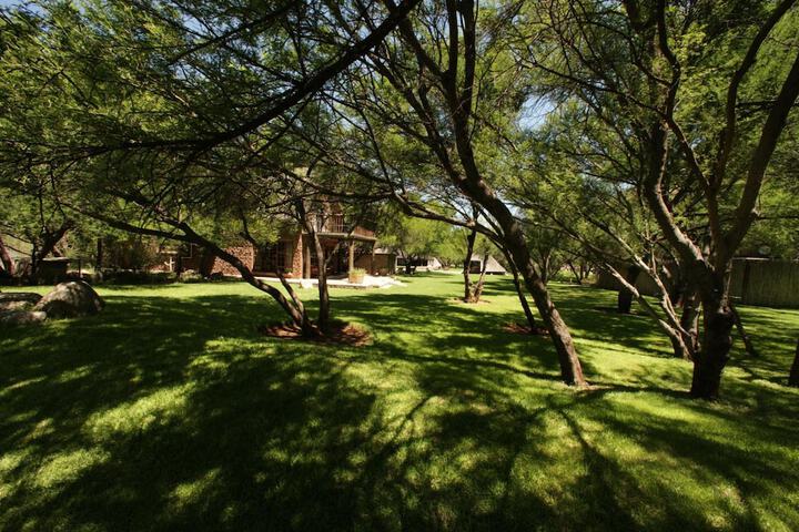 Property Grounds 46 of 67