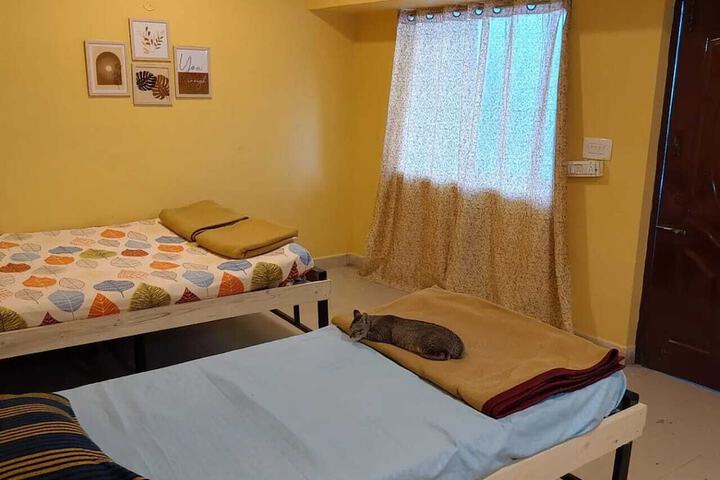 Vattakanal Homestays
