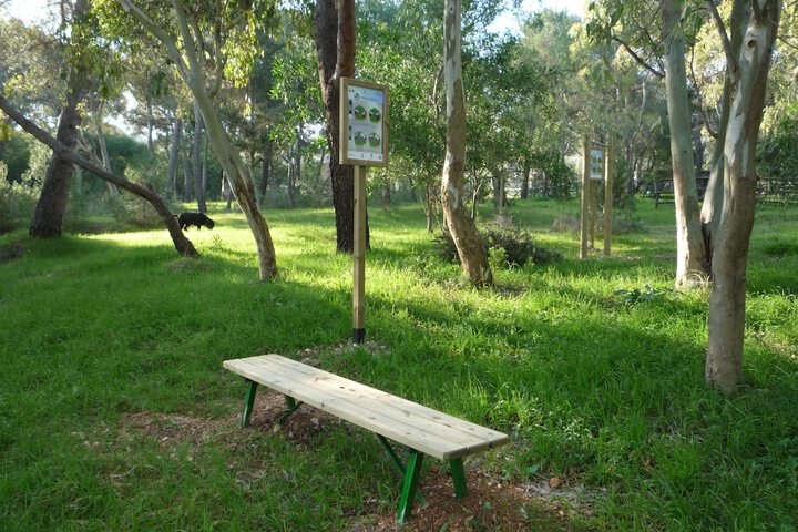 Property Grounds 50 of 73