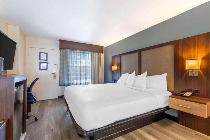1 King Bed High Speed Internet Accessible Sofa Bed Microwave, Refrigerator Full Breakfast (9 of 18)