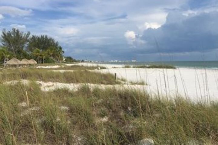 Beach 12 of 41