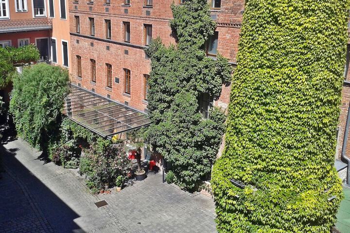 View from room