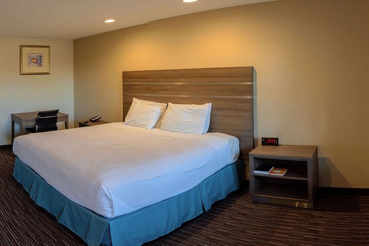 1 King Bed (20 of 22)