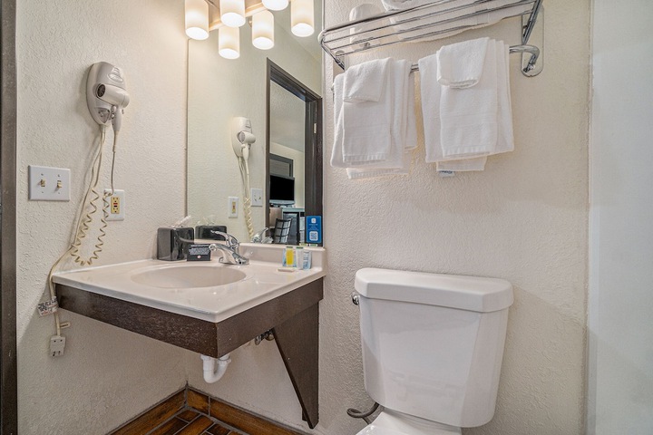 1 Queen Bed Mobility Accessible Roll in Shower (15 of 26)