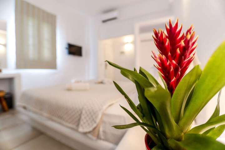 Room 10 of 43