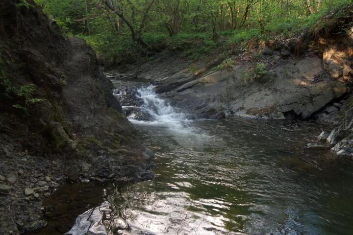 General 45 of 60