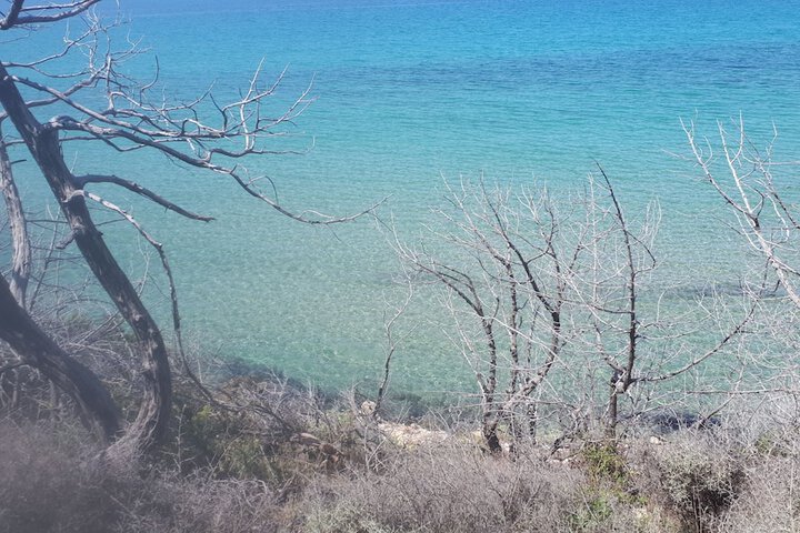 Beach 28 of 42