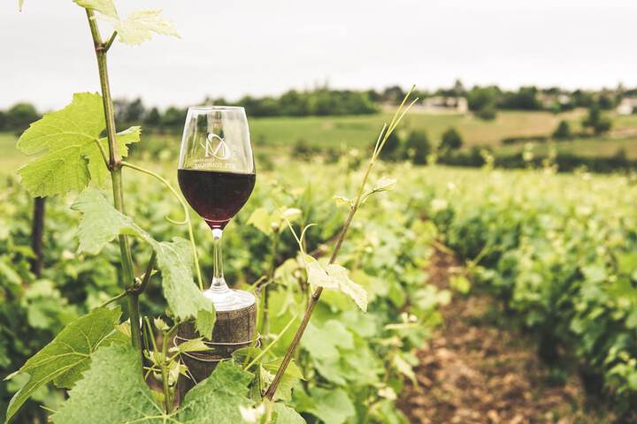 Winery