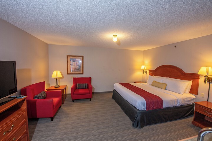 Deluxe King Bed (7 of 13)