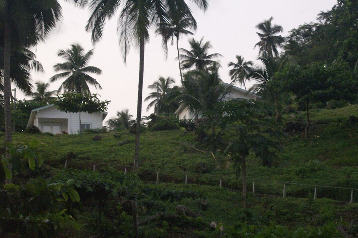Property Grounds 11 of 55