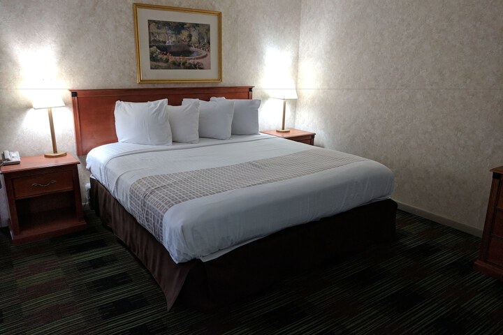 Deluxe King Bed (1 of 7)