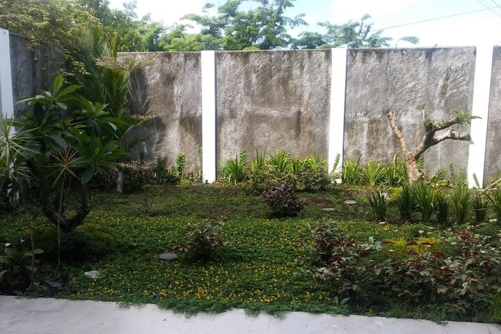 Property Grounds 55 of 77