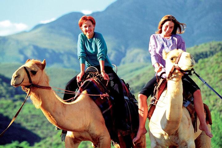 Spa and Wellness Pictures