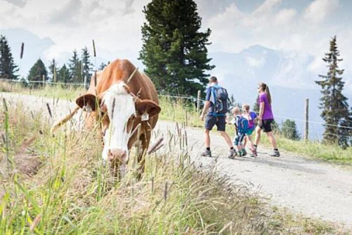 General 34 of 83