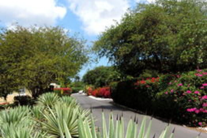 Property Grounds 14 of 19