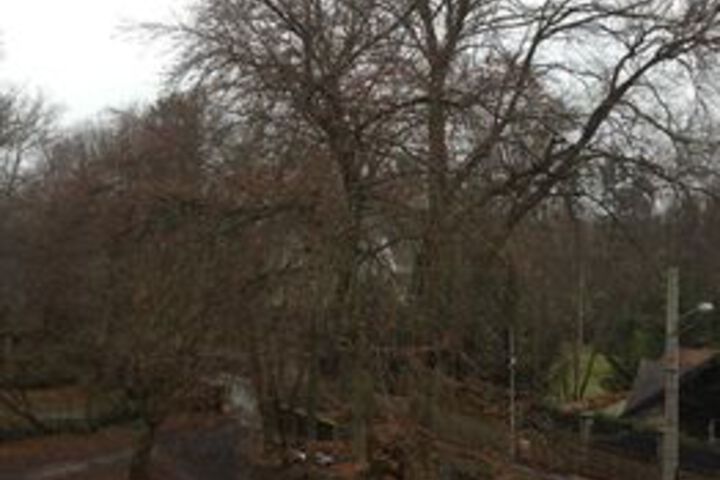Property Grounds 52 of 69