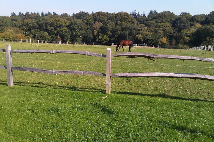 Property Grounds 9 of 11