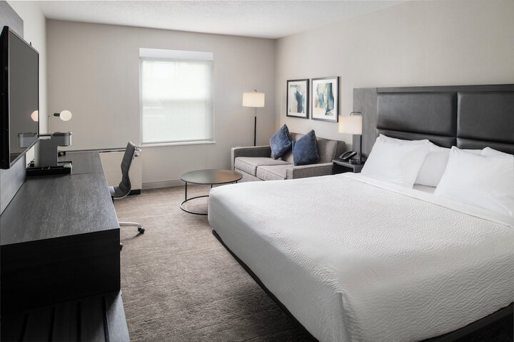 Standard King Bed Sofa (9 of 18)