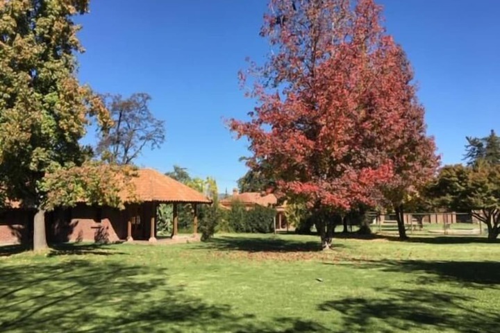 Property Grounds 38 of 41