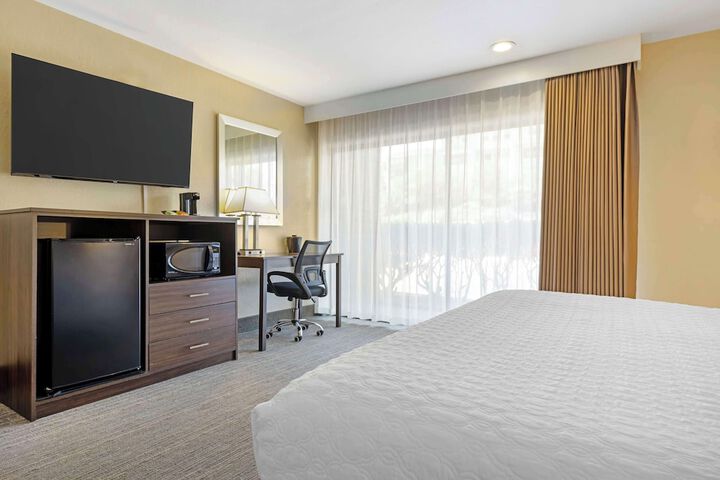 1 King Bed (3 of 20)