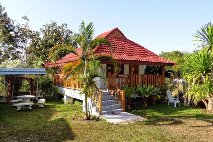 Photo 18