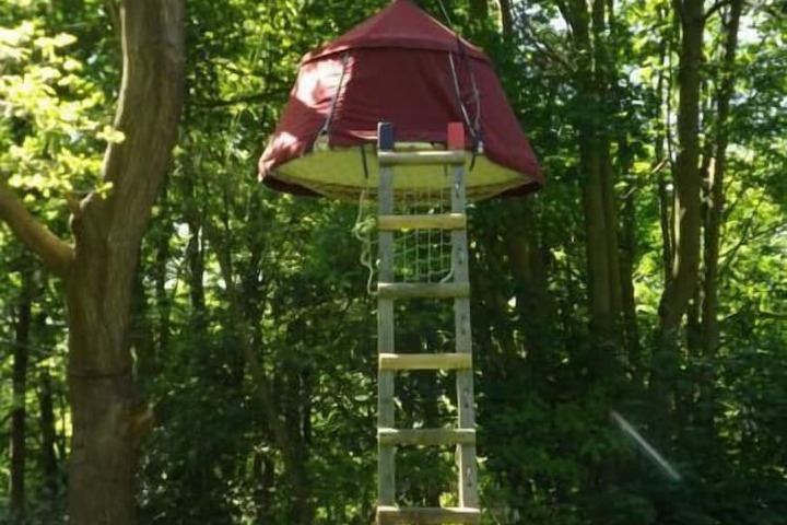 Woody Park