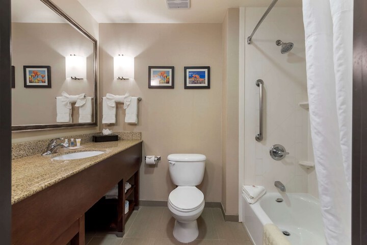1 King Bed Suite (7 of 16)