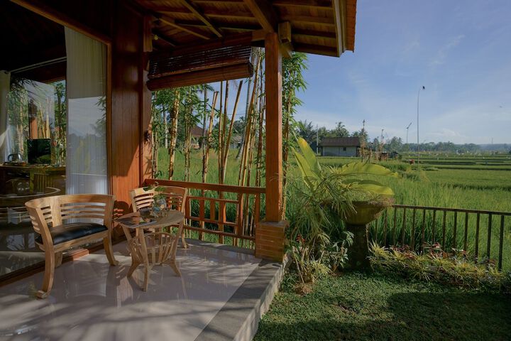 Terrace/Patio 40 of 45